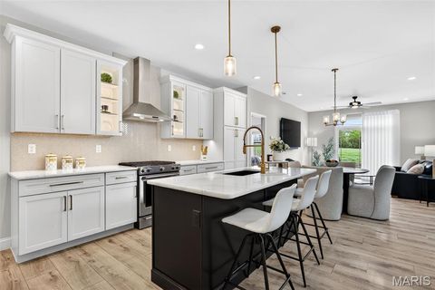 Tiny photo for 553 Wheatfield Circle, Wentzville, MO 63385 (MLS # 26021462)