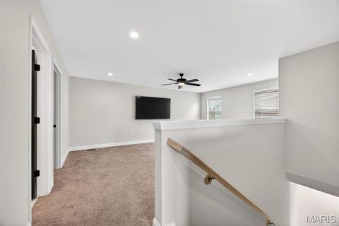 Tiny photo for 553 Wheatfield Circle, Wentzville, MO 63385 (MLS # 26021462)