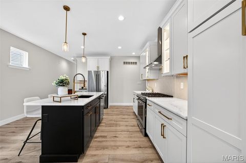 Tiny photo for 553 Wheatfield Circle, Wentzville, MO 63385 (MLS # 26021462)