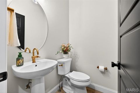 Tiny photo for 553 Wheatfield Circle, Wentzville, MO 63385 (MLS # 26021462)