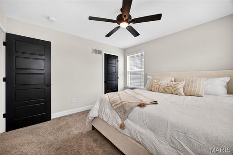 Tiny photo for 553 Wheatfield Circle, Wentzville, MO 63385 (MLS # 26021462)