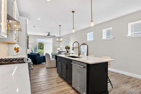 Tiny photo for 553 Wheatfield Circle, Wentzville, MO 63385 (MLS # 26021462)