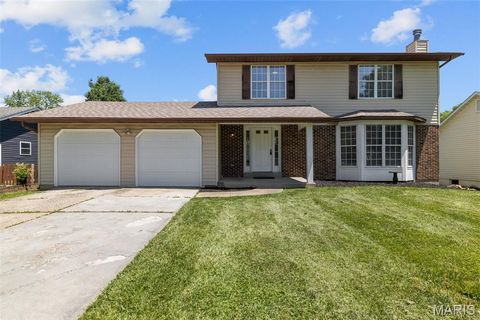 10 N Meadow Drive O'Fallon MO 63366
