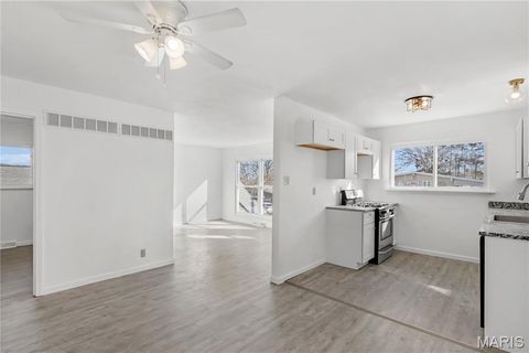 Tiny photo for 313 Saint Lawrence Drive, Ballwin, MO 63021 (MLS # 26011860)