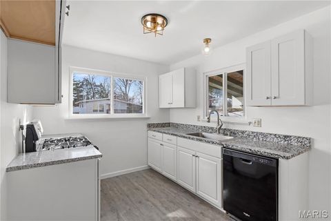 Tiny photo for 313 Saint Lawrence Drive, Ballwin, MO 63021 (MLS # 26011860)