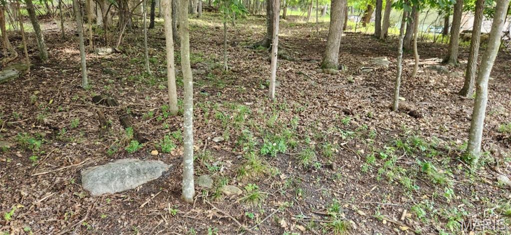 Lake Sherwood Estates - Land