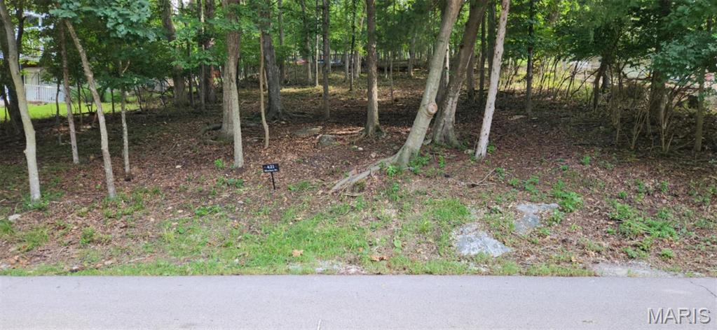 Lake Sherwood Estates - Land