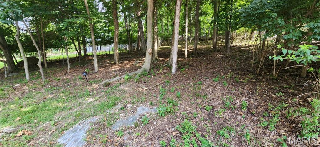 Lake Sherwood Estates - Land