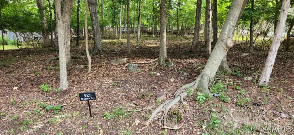 Lake Sherwood Estates - Land