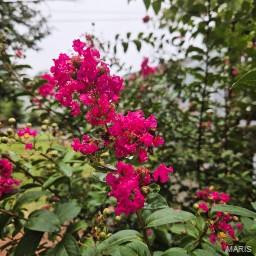 Tiny photo for 440 Rosedale Terrace, Ballwin, MO 63021 (MLS # 26022052)