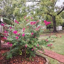 Tiny photo for 440 Rosedale Terrace, Ballwin, MO 63021 (MLS # 26022052)