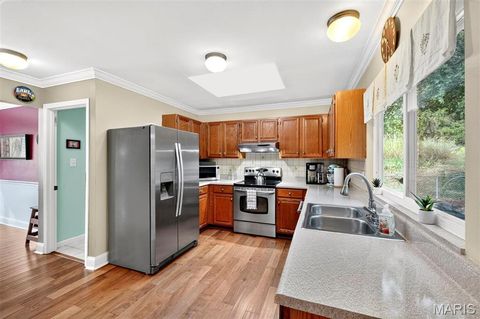 Tiny photo for 16621 Green Pines Drive, Wildwood, MO 63011 (MLS # 25069721)