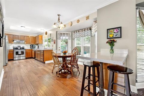 Tiny photo for 16621 Green Pines Drive, Wildwood, MO 63011 (MLS # 25069721)