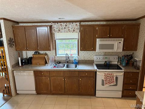 Tiny photo for 3811 Highway 137, Elk Creek, MO 65464 (MLS # 26018832)