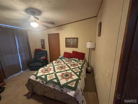 Tiny photo for 3811 Highway 137, Elk Creek, MO 65464 (MLS # 26018832)