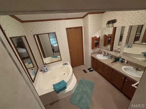 Tiny photo for 3811 Highway 137, Elk Creek, MO 65464 (MLS # 26018832)