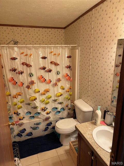 Tiny photo for 3811 Highway 137, Elk Creek, MO 65464 (MLS # 26018832)