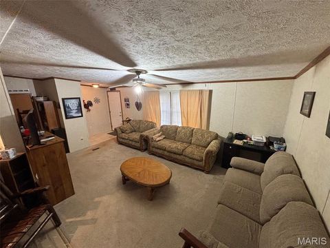 Tiny photo for 3811 Highway 137, Elk Creek, MO 65464 (MLS # 26018832)