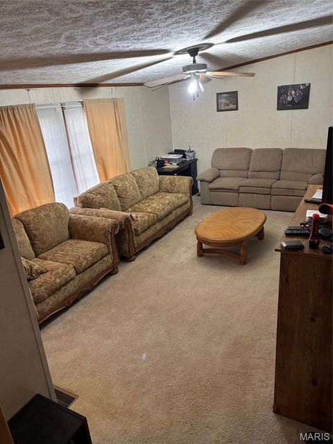 Tiny photo for 3811 Highway 137, Elk Creek, MO 65464 (MLS # 26018832)