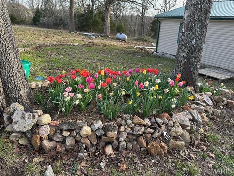 Tiny photo for 3811 Highway 137, Elk Creek, MO 65464 (MLS # 26018832)