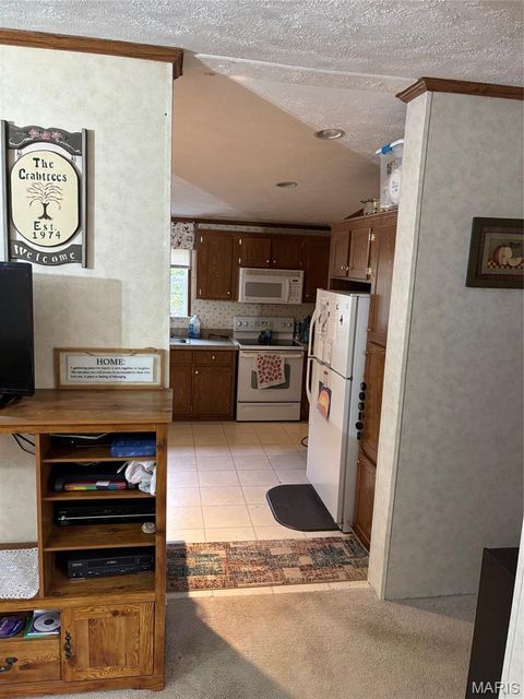 Tiny photo for 3811 Highway 137, Elk Creek, MO 65464 (MLS # 26018832)