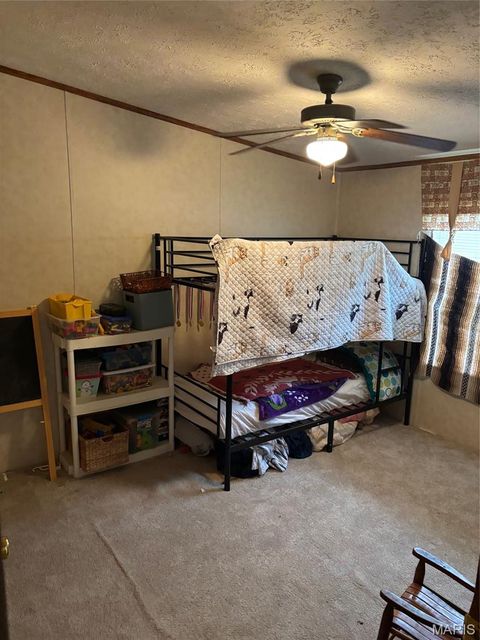 Tiny photo for 3811 Highway 137, Elk Creek, MO 65464 (MLS # 26018832)