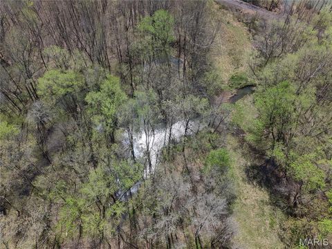 Tiny photo for 0 Highway O, Williamsville, MO 63967 (MLS # 26018875)