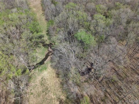 Tiny photo for 0 Highway O, Williamsville, MO 63967 (MLS # 26018875)