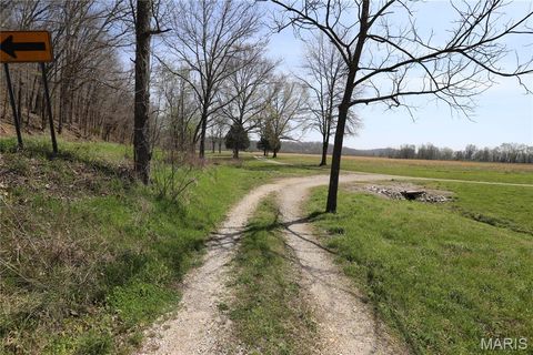 Tiny photo for 0 Highway O, Williamsville, MO 63967 (MLS # 26018875)