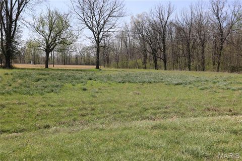Tiny photo for 0 Highway O, Williamsville, MO 63967 (MLS # 26018875)