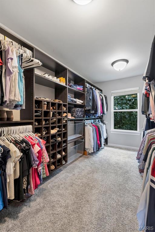 Arbor Chase - Residential