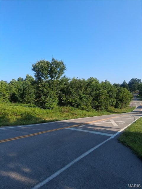 Tiny photo for 3796 Jefferson Street, Catawissa, MO 63015 (MLS # 26046873)