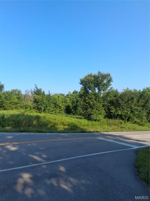 Tiny photo for 3796 Jefferson Street, Catawissa, MO 63015 (MLS # 26046873)