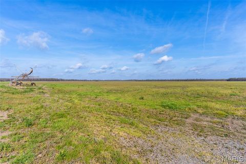 Tiny photo for 000 State Highway 80 #5, East Prairie, MO 63845 (MLS # 26020676)