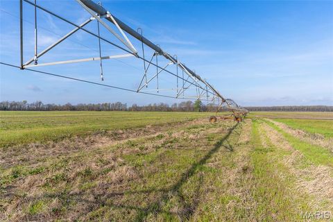Photo of 000 State Highway 80 #5, East Prairie, MO 63845 (MLS # 26020676)