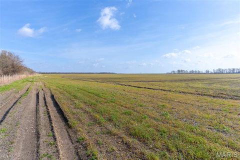 Tiny photo for 000 State Highway 80 #5, East Prairie, MO 63845 (MLS # 26020676)