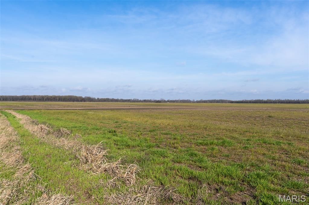 Photo of 000 State Highway 80, East Prairie, MO 63845 (MLS # 26020676)