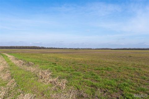 Tiny photo for 000 State Highway 80 #5, East Prairie, MO 63845 (MLS # 26020676)