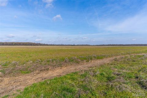Tiny photo for 000 State Highway 80 #5, East Prairie, MO 63845 (MLS # 26020676)