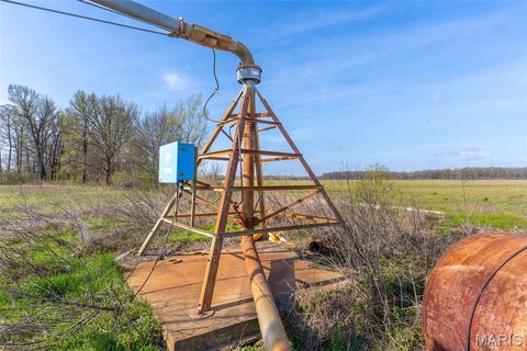 Tiny photo for 000 State Highway 80 #5, East Prairie, MO 63845 (MLS # 26020676)