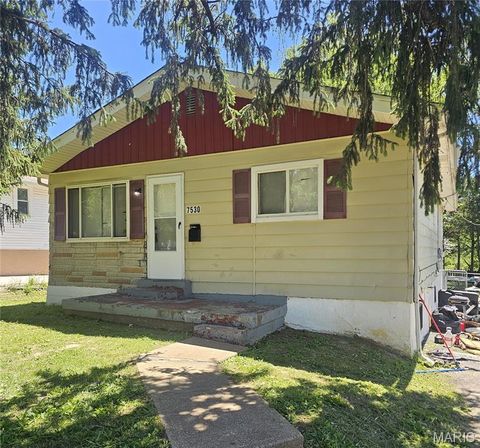 Photo of 7530 Trenton Avenue, University City, MO 63130 (MLS # 26030434)
