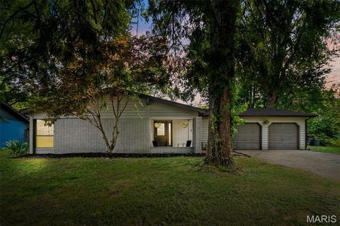 Photo of 102 Gale Drive, Fairview Heights, IL 62208 (MLS # 25081504)