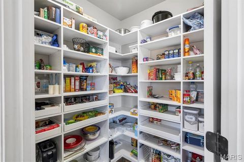 Tiny photo for 825 Liberty Creek Drive, Wentzville, MO 63385 (MLS # 26011431)