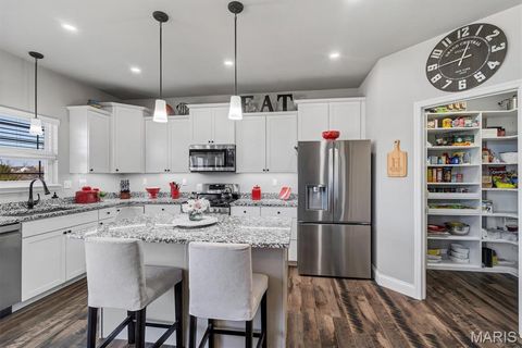 Tiny photo for 825 Liberty Creek Drive, Wentzville, MO 63385 (MLS # 26011431)