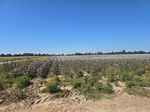 Photo of 0 Co Rd 314, Portageville, MO 63873 (MLS # 25068043)
