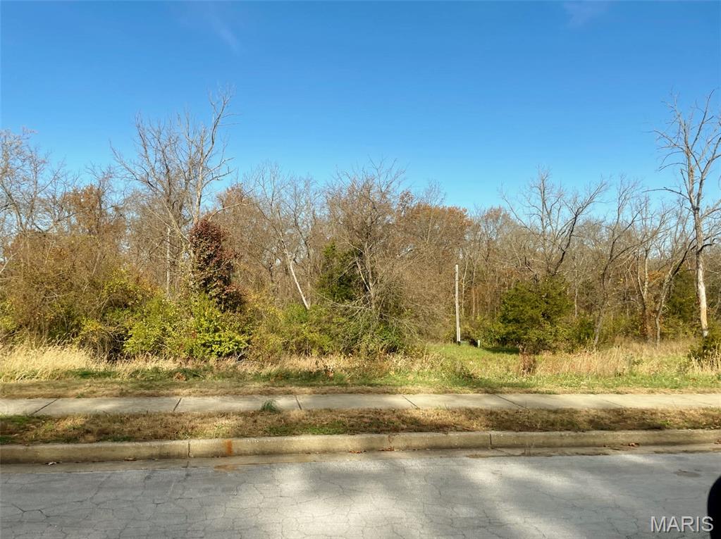 Scottsvale Manor - Land