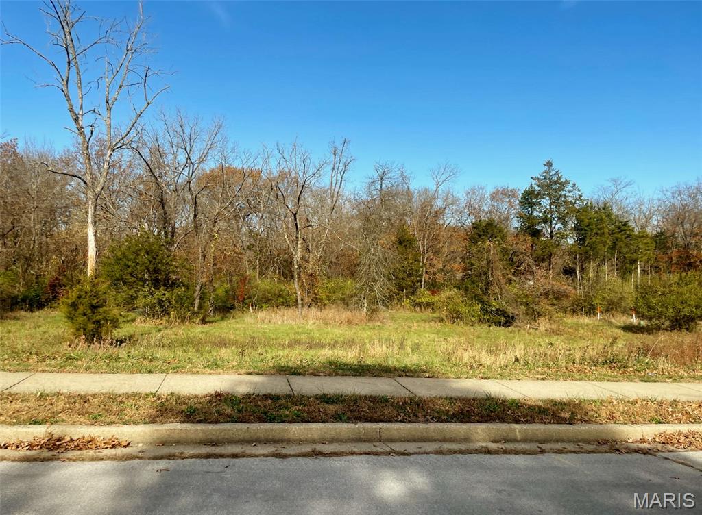 Scottsvale Manor - Land