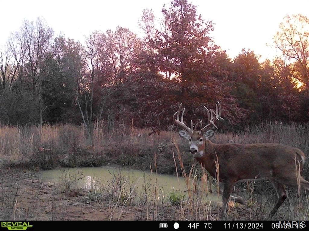 unincorporated - Farm