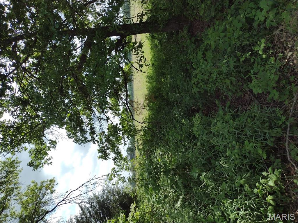 unincorporated - Farm