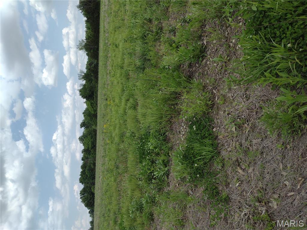 unincorporated - Farm